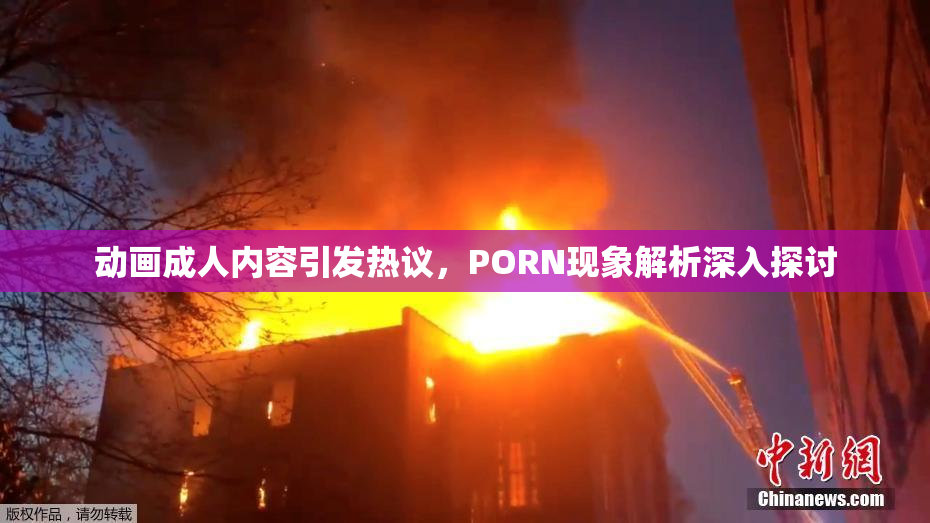 动画成人内容引发热议，PORN现象解析深入探讨