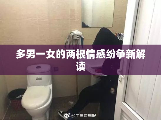 多男一女的两根情感纷争新解读