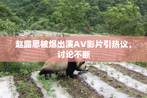 赵露思被爆出演AV影片引热议，讨论不断
