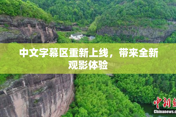 中文字幕区重新上线，带来全新观影体验