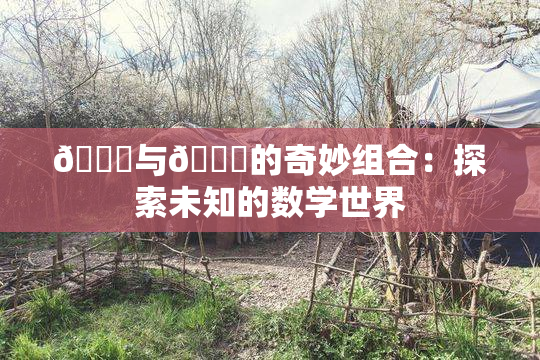🍆与🔞的奇妙组合：探索未知的数学世界
