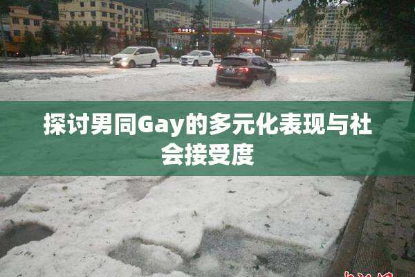 探讨男同Gay的多元化表现与社会接受度