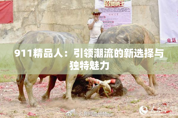 911精品人：引领潮流的新选择与独特魅力