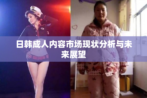 日韩成人内容市场现状分析与未来展望