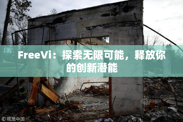 FreeVi：探索无限可能，释放你的创新潜能