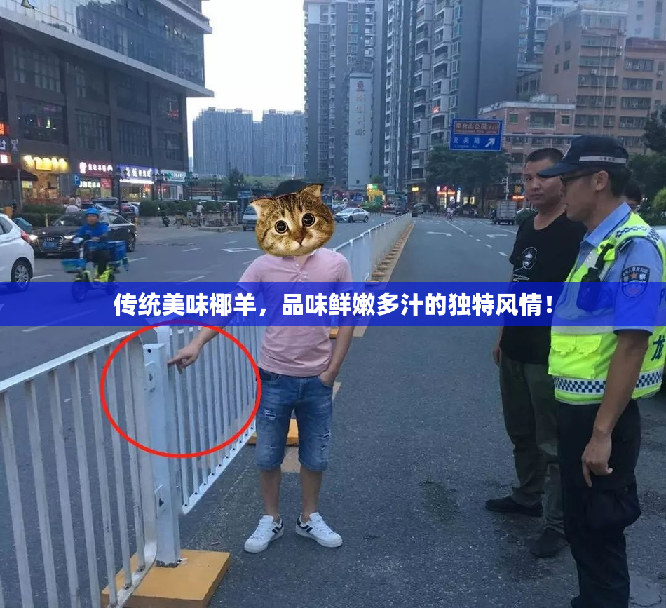 传统美味椰羊，品味鲜嫩多汁的独特风情！