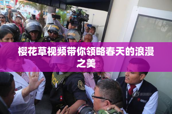 樱花草视频带你领略春天的浪漫之美