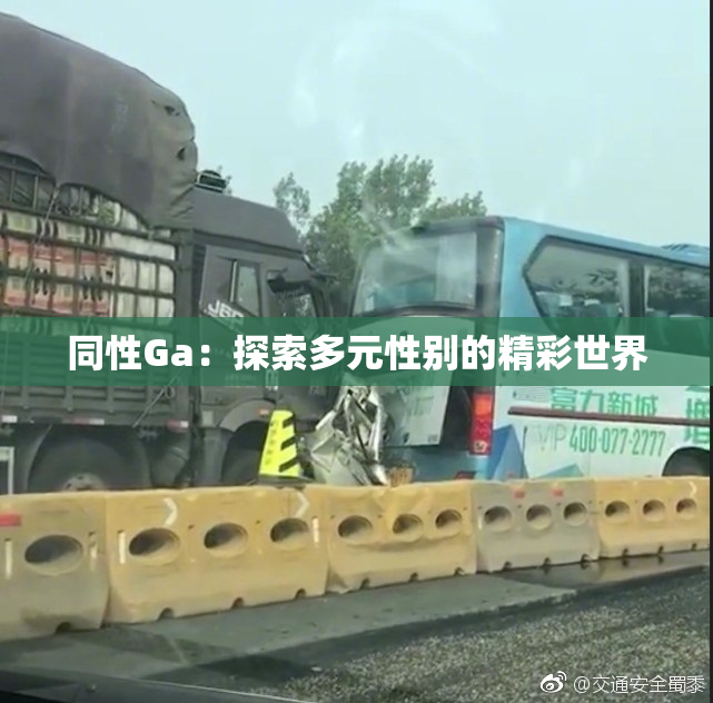 同性Ga：探索多元性别的精彩世界