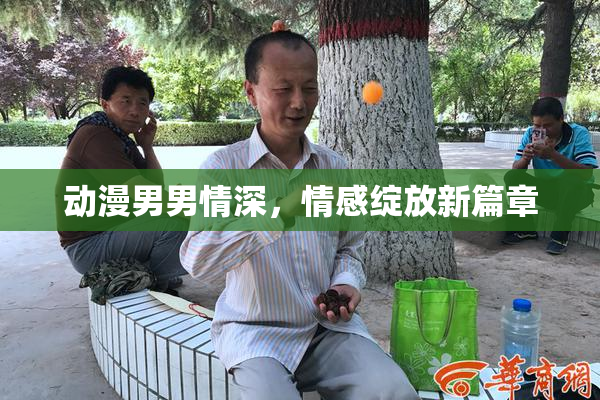 动漫男男情深，情感绽放新篇章