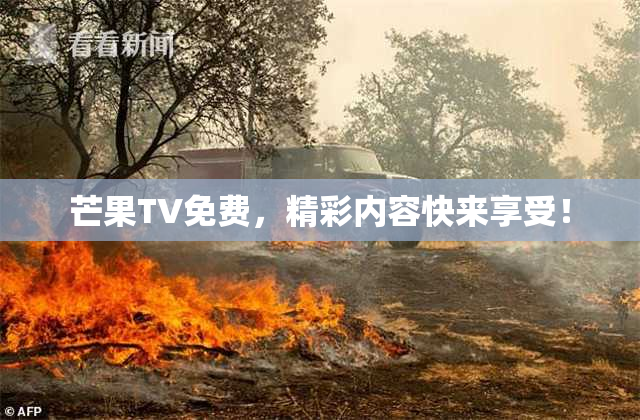 芒果TV免费，精彩内容快来享受！