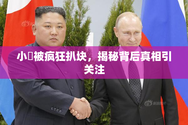 小泬被疯狂扒块，揭秘背后真相引关注