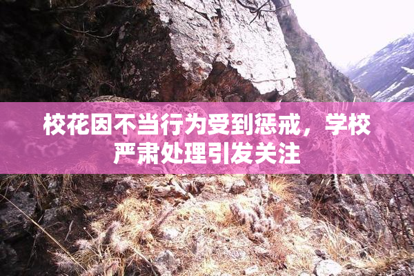 校花因不当行为受到惩戒，学校严肃处理引发关注