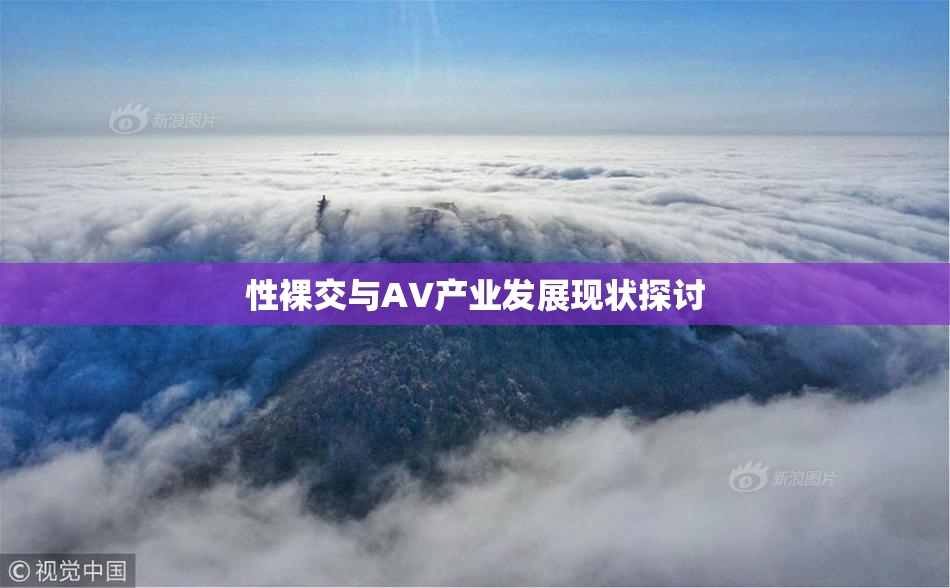 性裸交与AV产业发展现状探讨