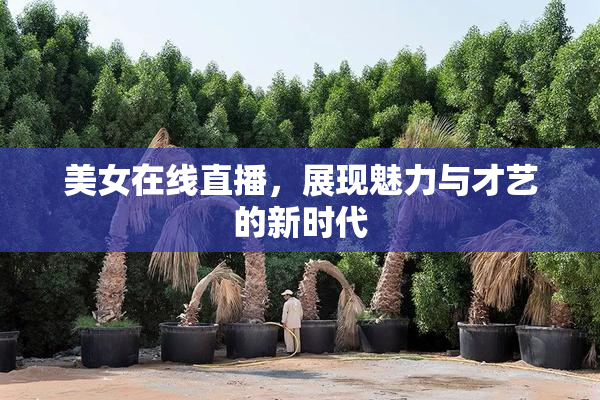 美女在线直播，展现魅力与才艺的新时代