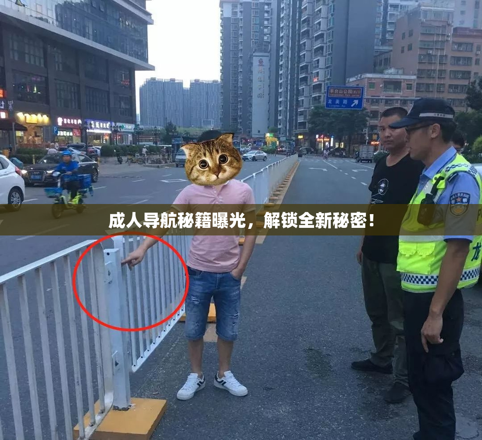成人导航秘籍曝光，解锁全新秘密！