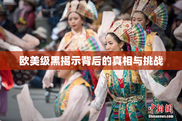 欧美级黑揭示背后的真相与挑战