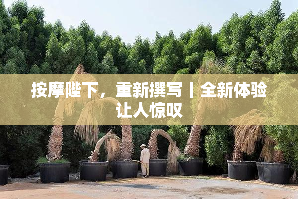 按摩陛下，重新撰写丨全新体验让人惊叹