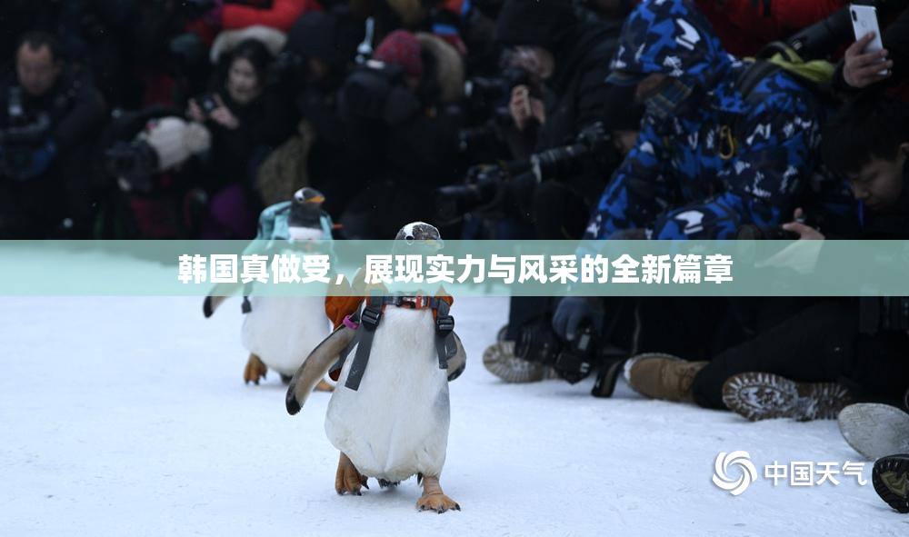 韩国真做受，展现实力与风采的全新篇章