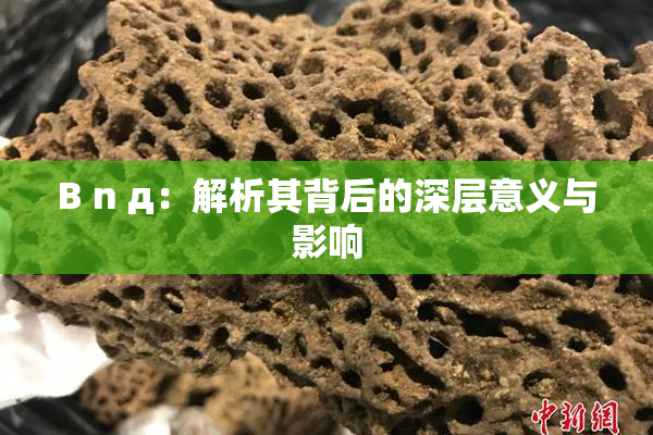 B n д：解析其背后的深层意义与影响