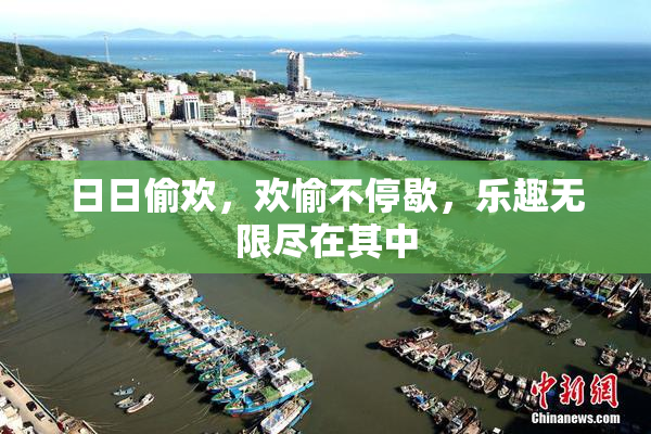 日日偷欢，欢愉不停歇，乐趣无限尽在其中
