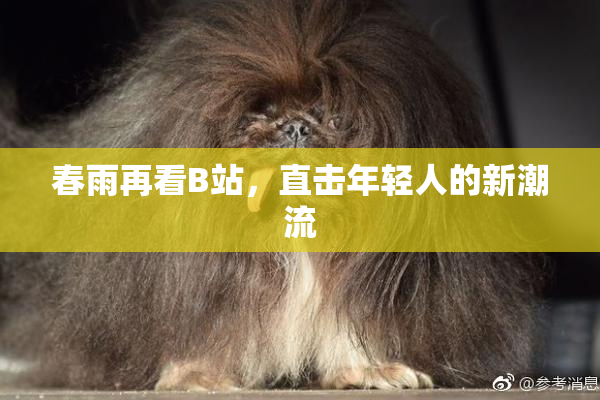 春雨再看B站，直击年轻人的新潮流