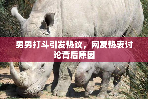 男男打斗引发热议，网友热衷讨论背后原因