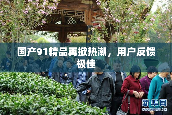 国产91精品再掀热潮，用户反馈极佳
