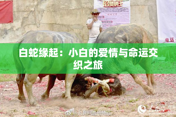 白蛇缘起：小白的爱情与命运交织之旅