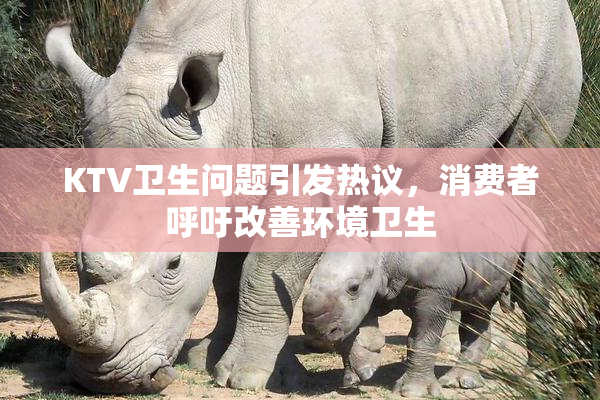 KTV卫生问题引发热议，消费者呼吁改善环境卫生
