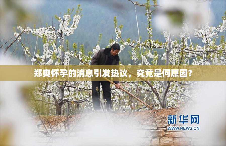 郑爽怀孕的消息引发热议，究竟是何原因？