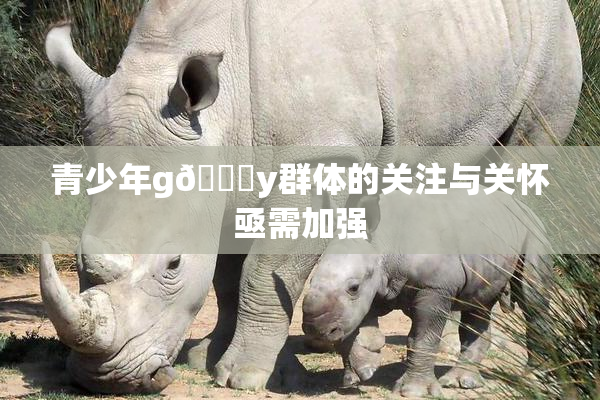 青少年g🈚y群体的关注与关怀亟需加强