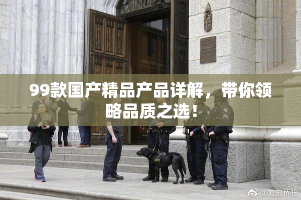 99款国产精品产品详解，带你领略品质之选！