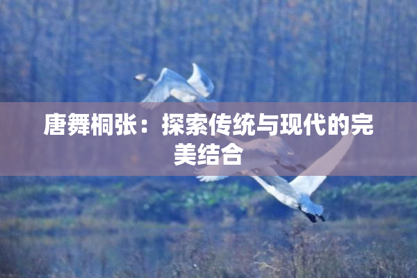 唐舞桐张：探索传统与现代的完美结合