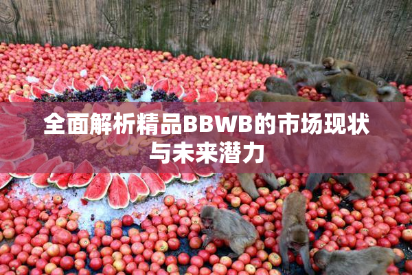 全面解析精品BBWB的市场现状与未来潜力