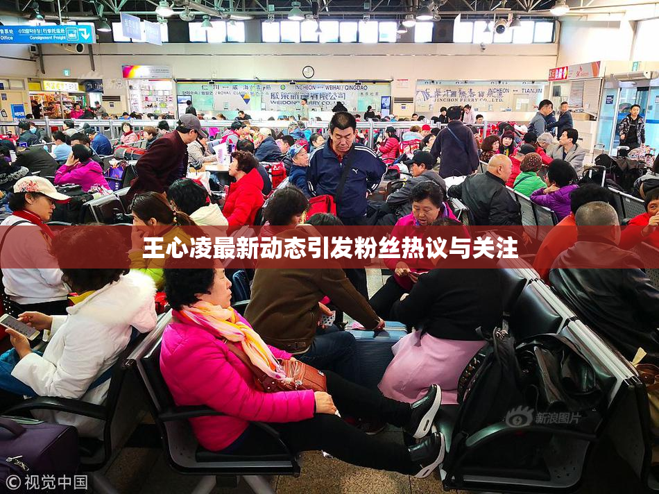 王心凌最新动态引发粉丝热议与关注