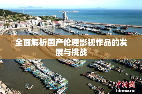 全面解析国产伦理影视作品的发展与挑战