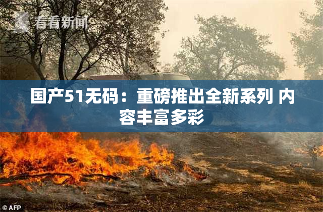 国产51无码：重磅推出全新系列 内容丰富多彩