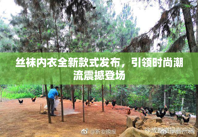 丝袜内衣全新款式发布，引领时尚潮流震撼登场