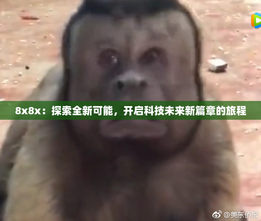 8x8x：探索全新可能，开启科技未来新篇章的旅程