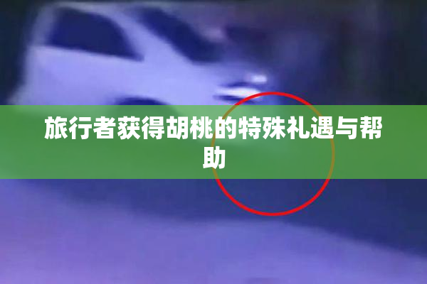 旅行者获得胡桃的特殊礼遇与帮助