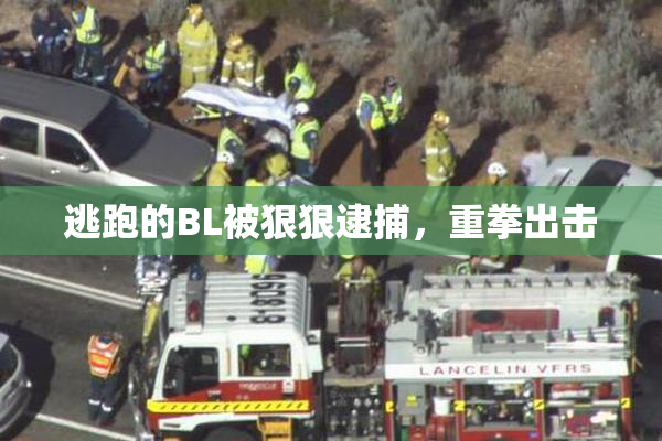 逃跑的BL被狠狠逮捕，重拳出击