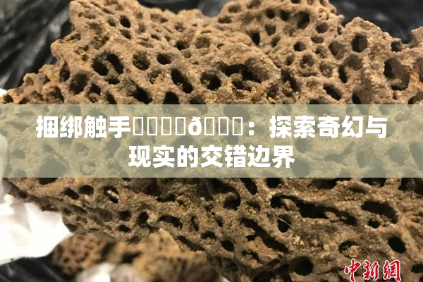 捆绑触手❌‌❌‌🔞：探索奇幻与现实的交错边界