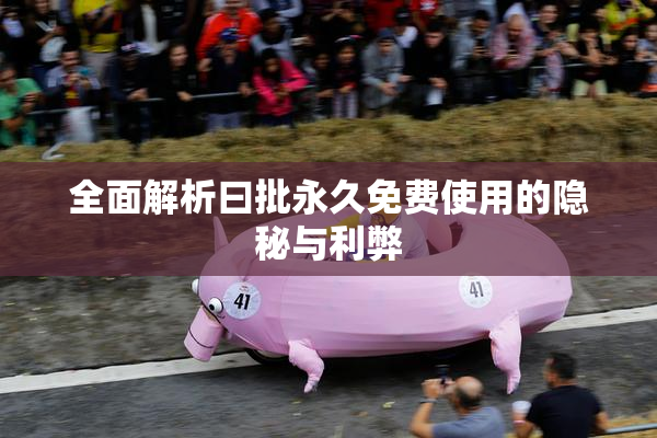 全面解析曰批永久免费使用的隐秘与利弊