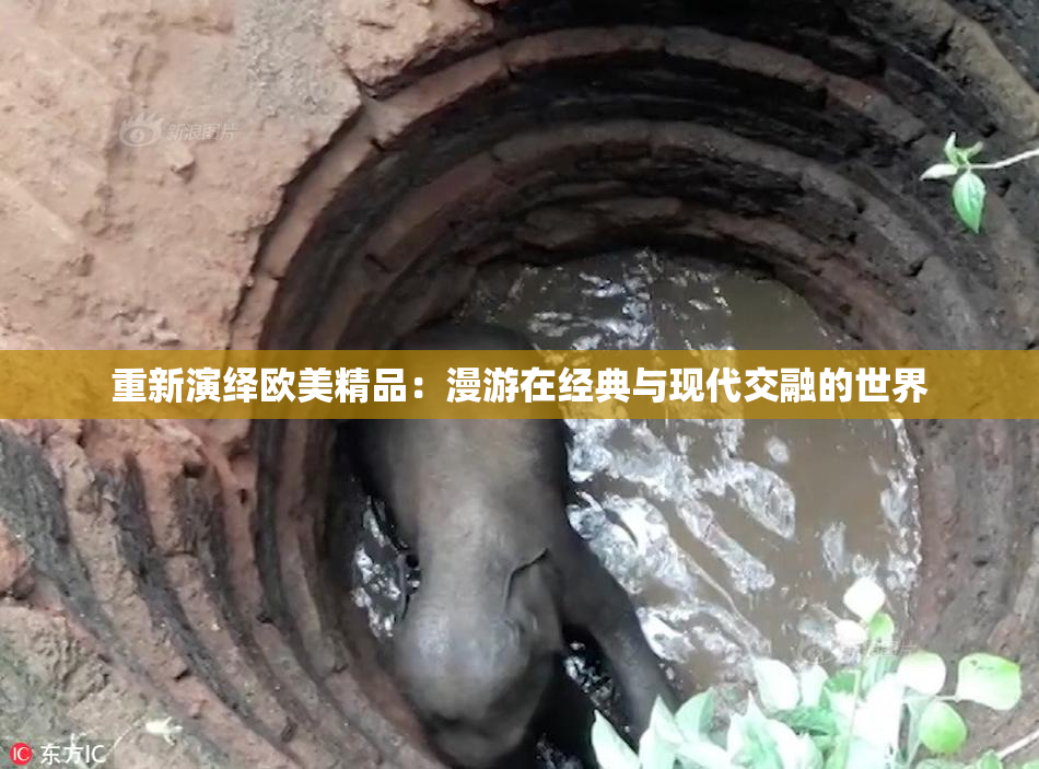 重新演绎欧美精品：漫游在经典与现代交融的世界