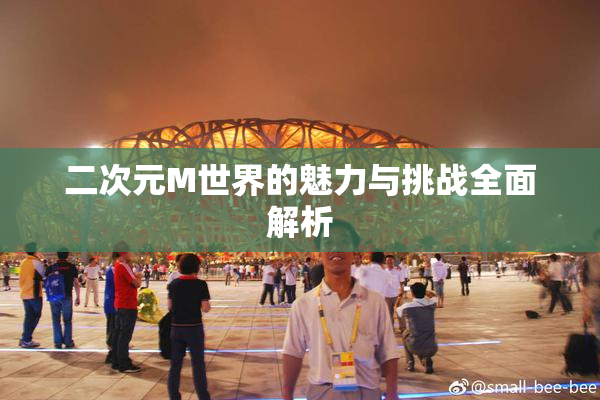 二次元M世界的魅力与挑战全面解析