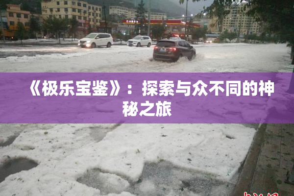 《极乐宝鉴》：探索与众不同的神秘之旅
