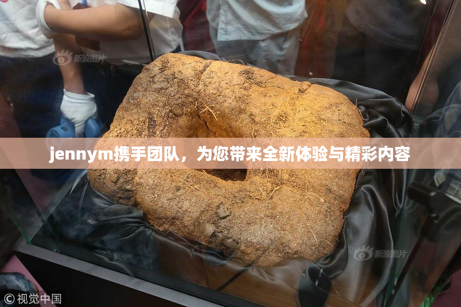jennym携手团队，为您带来全新体验与精彩内容