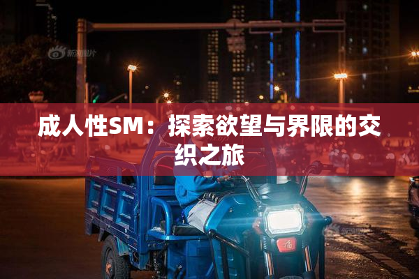 成人性SM：探索欲望与界限的交织之旅