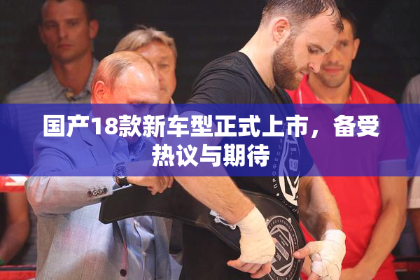 国产18款新车型正式上市，备受热议与期待