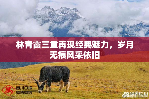 林青霞三重再现经典魅力，岁月无痕风采依旧